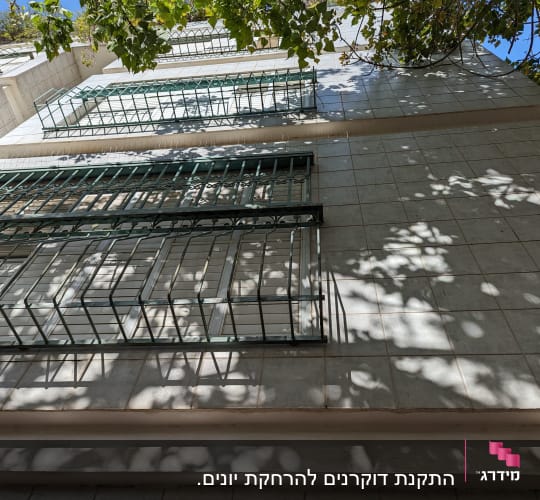 סורגים ירוקים על קיר בניין עם צללים של עלים